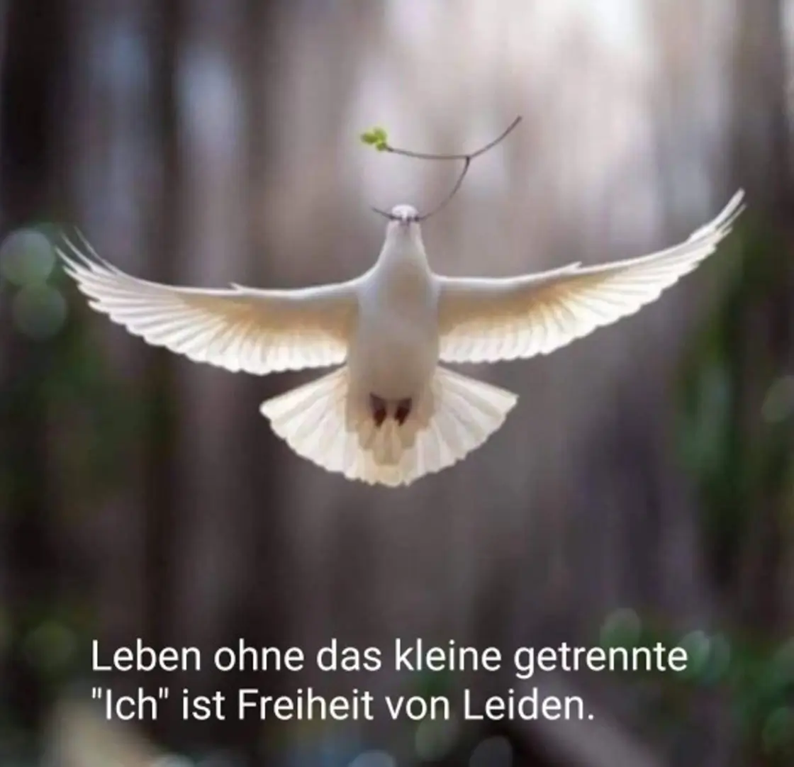 Die Beziehung zwischen Ein Kurs in Wundern und Ein Kurs der Liebe verstehen oder missverstehen